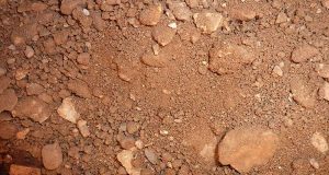 topsoil-resized